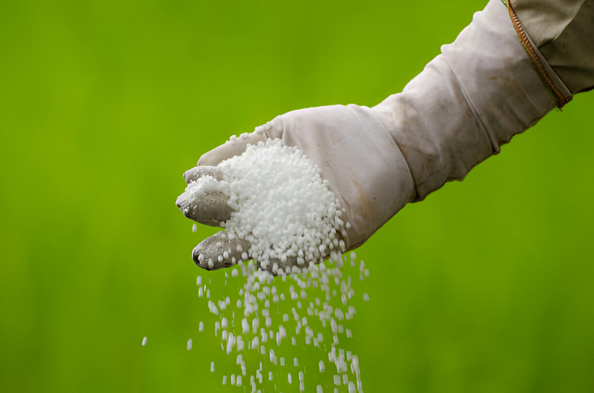 Urea FERTILIZER